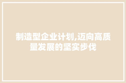 制造型企业计划,迈向高质量发展的坚实步伐