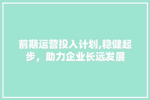 前期运营投入计划,稳健起步，助力企业长远发展