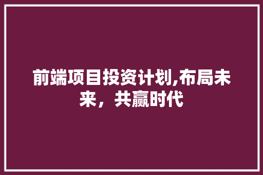 前端项目投资计划,布局未来，共赢时代