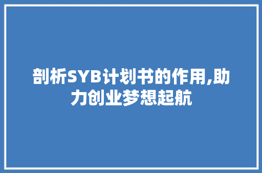 剖析SYB计划书的作用,助力创业梦想起航