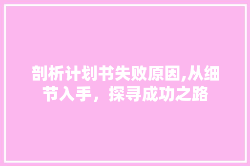 剖析计划书失败原因,从细节入手，探寻成功之路