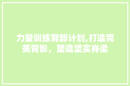 力量训练背部计划,打造完美背影，塑造坚实脊梁