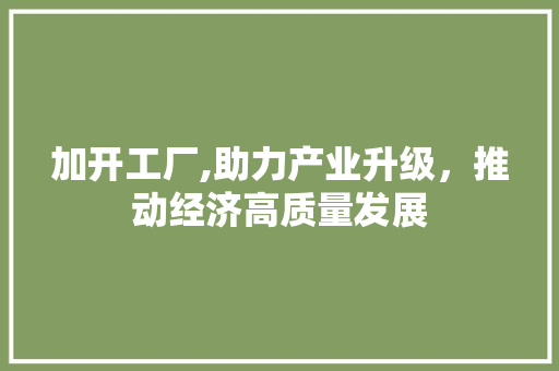 加开工厂,助力产业升级，推动经济高质量发展