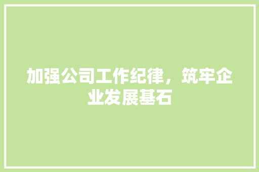 加强公司工作纪律，筑牢企业发展基石