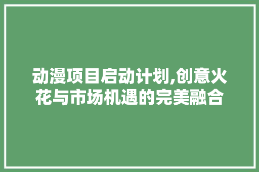 动漫项目启动计划,创意火花与市场机遇的完美融合
