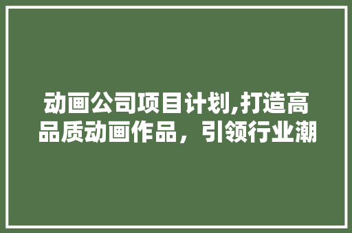 动画公司项目计划,打造高品质动画作品，引领行业潮流
