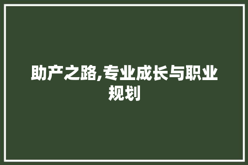 助产之路,专业成长与职业规划