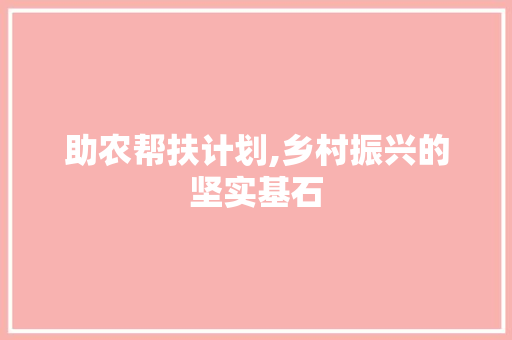 助农帮扶计划,乡村振兴的坚实基石 工作总结
