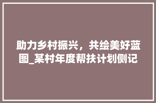 助力乡村振兴，共绘美好蓝图_某村年度帮扶计划侧记 社交媒体