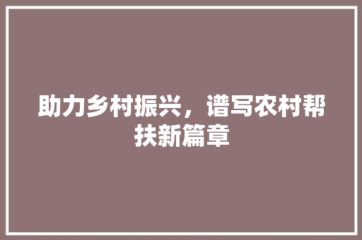 助力乡村振兴，谱写农村帮扶新篇章