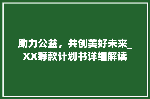 助力公益，共创美好未来_XX筹款计划书详细解读