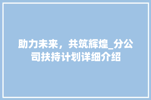 助力未来，共筑辉煌_分公司扶持计划详细介绍