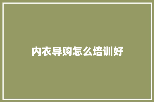 内衣导购怎么培训好 会议纪要