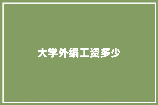 大学外编工资多少