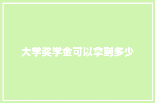 大学奖学金可以拿到多少 项目报告