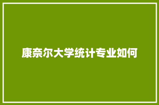 康奈尔大学统计专业如何