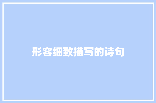 形容细致描写的诗句