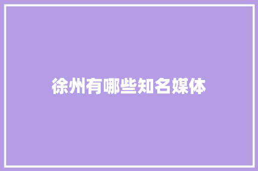 徐州有哪些知名媒体