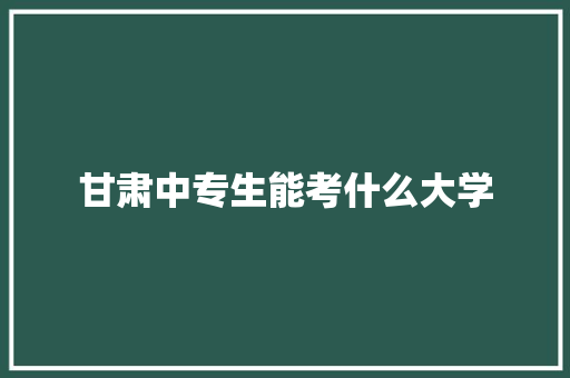 甘肃中专生能考什么大学