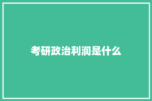 考研政治利润是什么