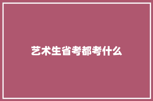 艺术生省考都考什么