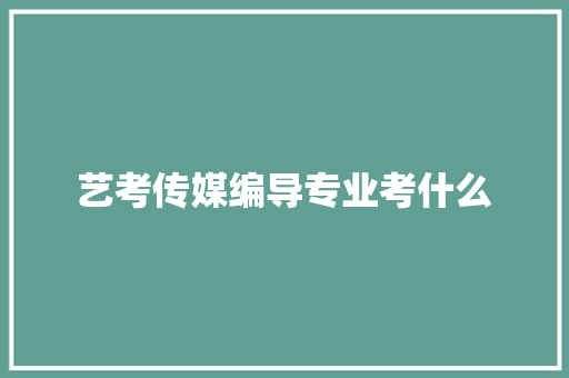 艺考传媒编导专业考什么 职场写作