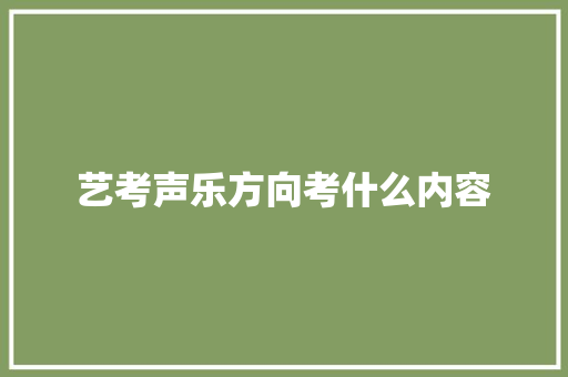 艺考声乐方向考什么内容