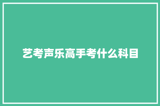 艺考声乐高手考什么科目