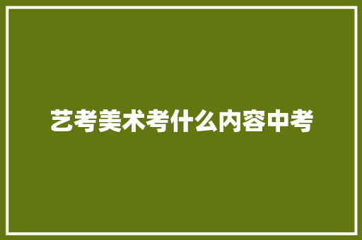 艺考美术考什么内容中考
