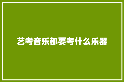 艺考音乐都要考什么乐器