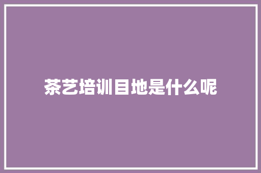 茶艺培训目地是什么呢