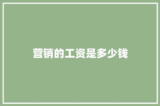 营销的工资是多少钱