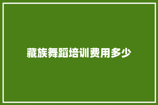 藏族舞蹈培训费用多少