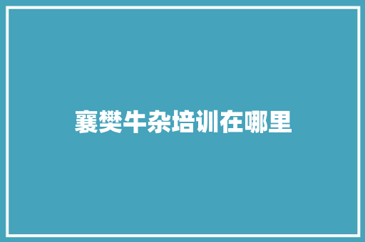 襄樊牛杂培训在哪里