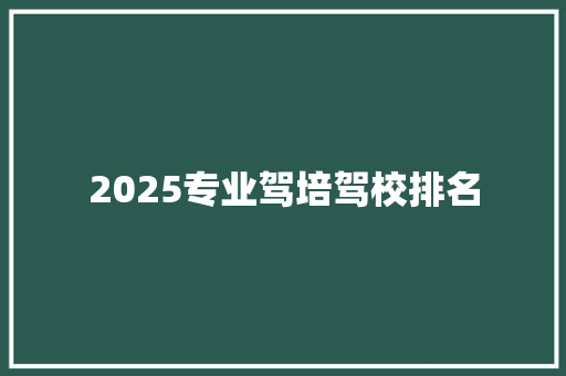 2025专业驾培驾校排名