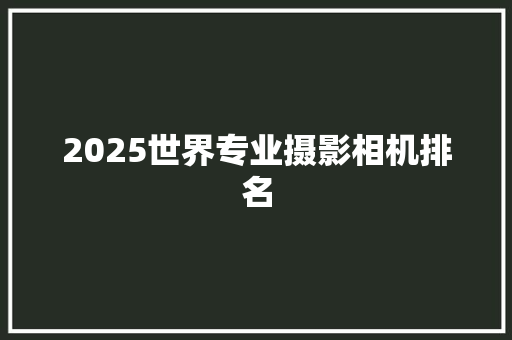 2025世界专业摄影相机排名