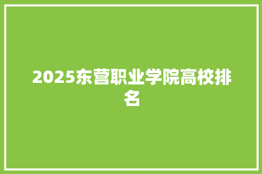 2025东营职业学院高校排名