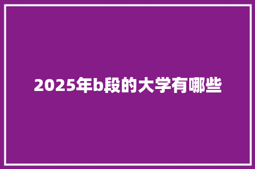 2025年b段的大学有哪些
