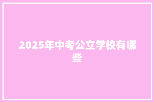 2025年中考公立学校有哪些