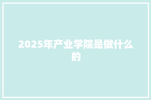 2025年产业学院是做什么的