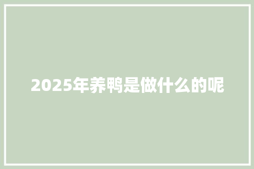 2025年养鸭是做什么的呢