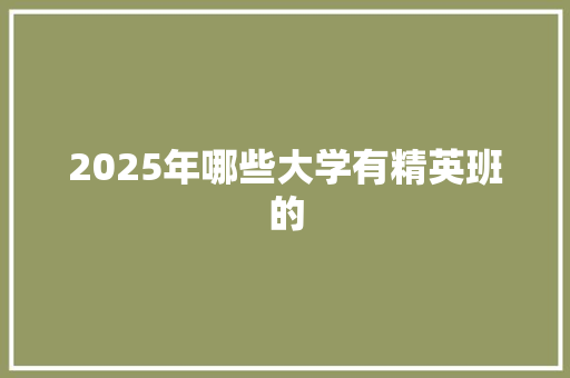 2025年哪些大学有精英班的