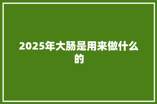 2025年大肠是用来做什么的