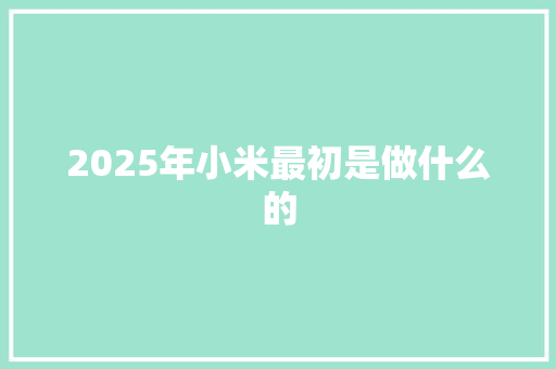 2025年小米最初是做什么的