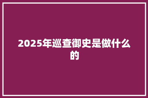 2025年巡查御史是做什么的