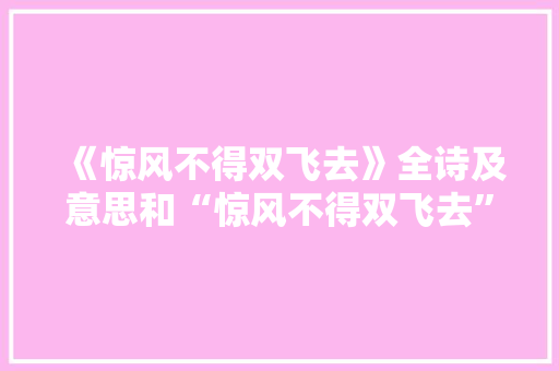 《惊风不得双飞去》全诗及意思和“惊风不得双飞去”的拼音注释