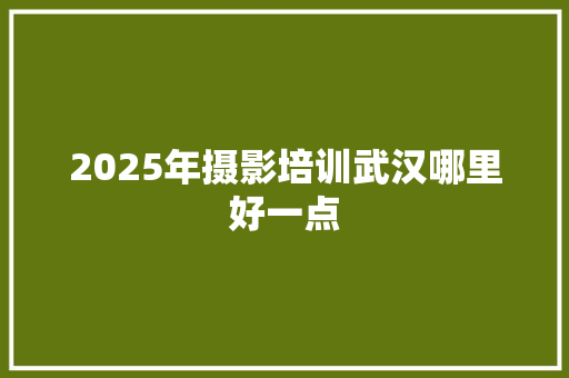 2025年摄影培训武汉哪里好一点