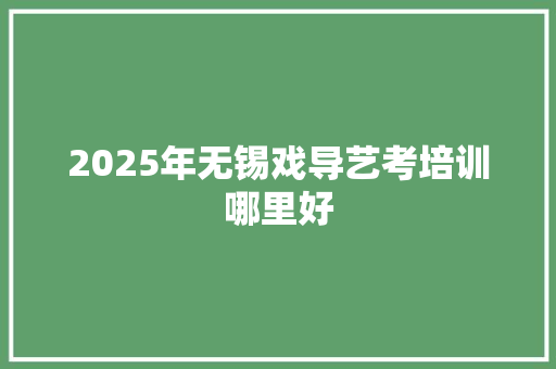 2025年无锡戏导艺考培训哪里好