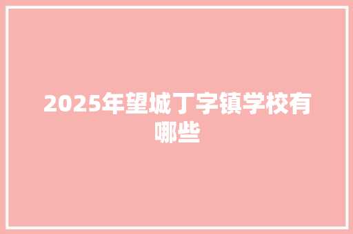 2025年望城丁字镇学校有哪些