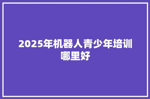 2025年机器人青少年培训哪里好